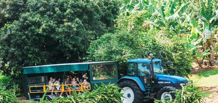 Tropical Fruit World